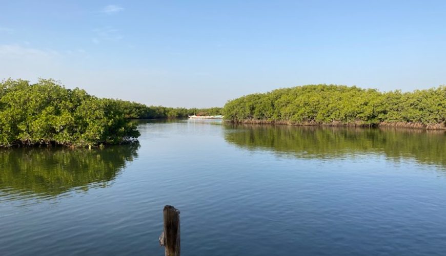 Le Sine Saloum