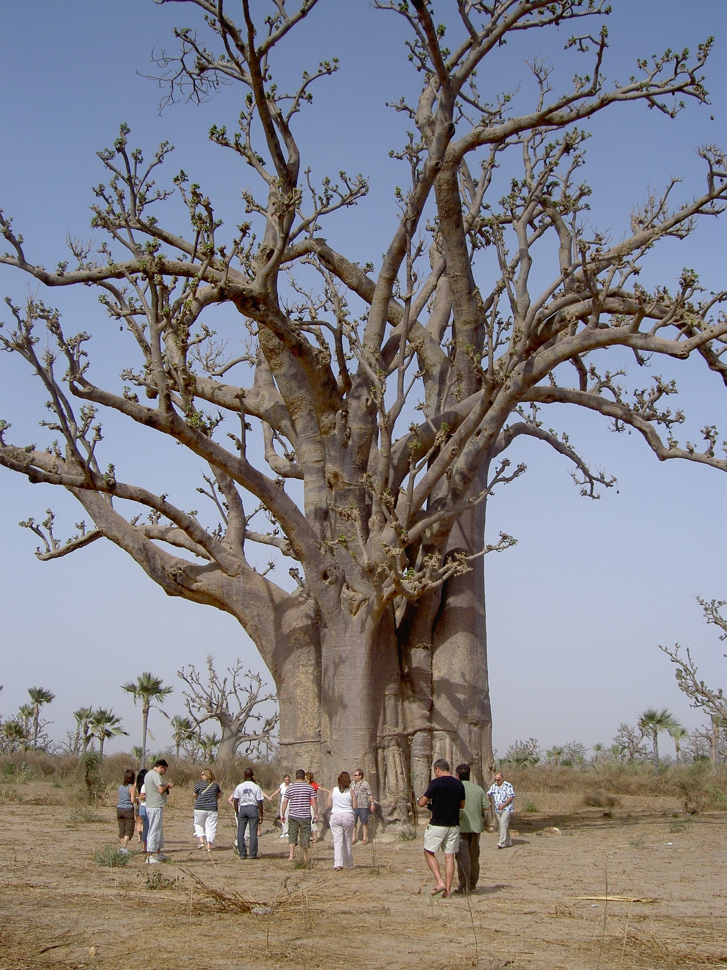 voyage personnalise au Sénégal